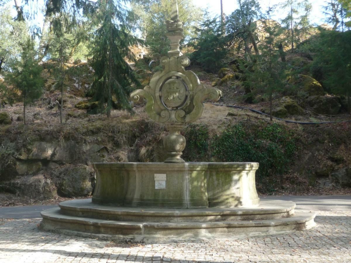 Refugio Da Vila - Refuge Of The Village Vouzela Buitenkant foto